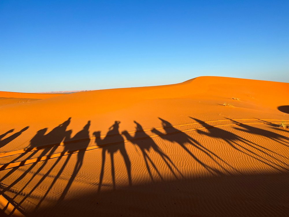 2 Days Desert Tour From Marrakech To Zagora